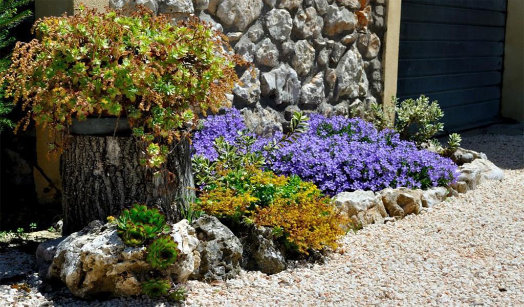 Belvedere Cramaccioli Vigne Ngoại thất bức ảnh